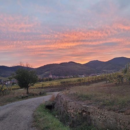 Naova Cosy Studio Kaysersberg-Vignoble Εξωτερικό φωτογραφία
