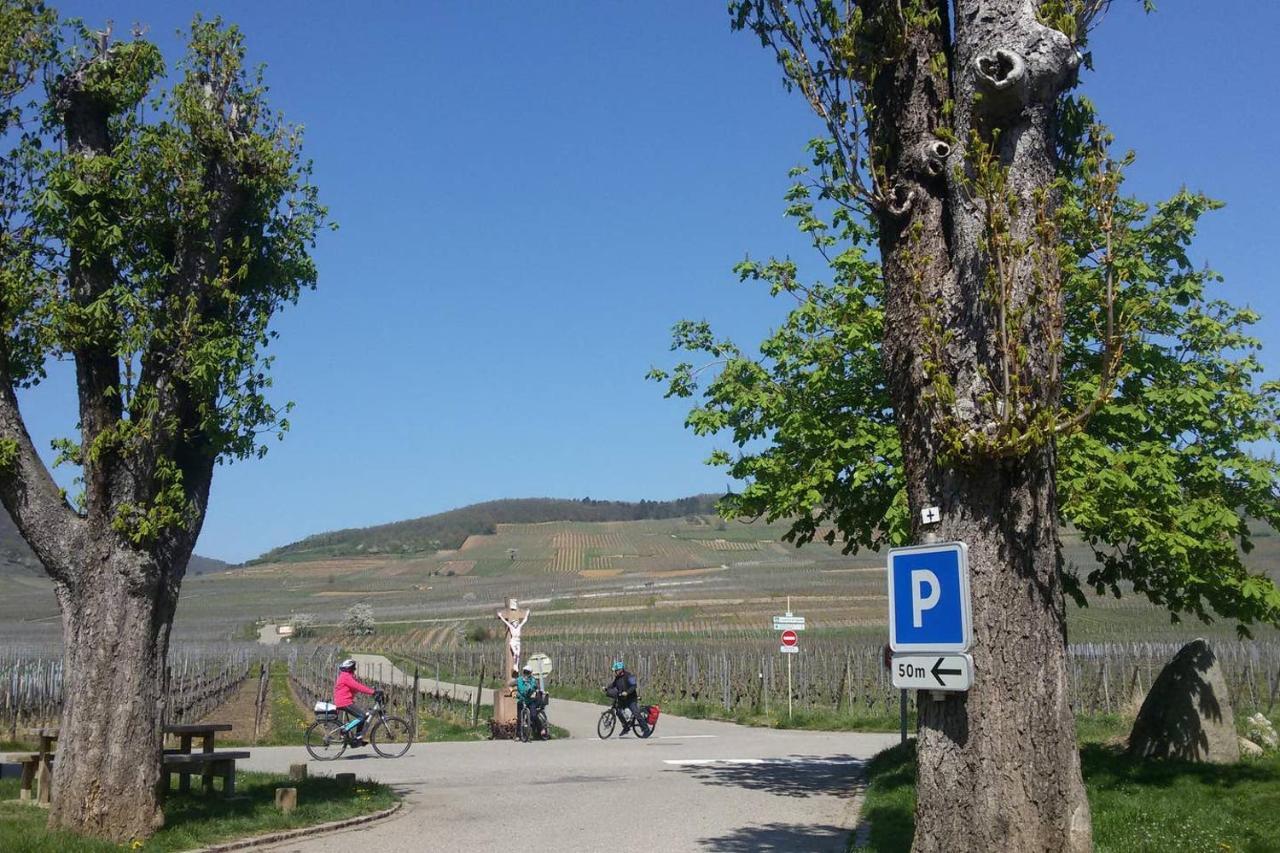 Naova Cosy Studio Kaysersberg-Vignoble Εξωτερικό φωτογραφία
